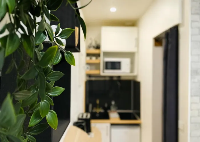 Le Cloudy Cocon Calme Hypercentre - 418 Apartamento